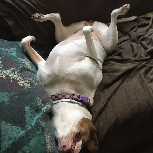 Meet your Posher, Jennifer - Picture 6 of 9